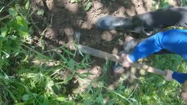 Ένας άνθρωπος σκάβει ένα λαχανόκηπο - Κάθετη πλάνα — Αρχείο Βίντεο