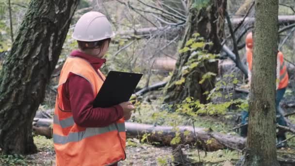 Environmentalists a woman and man draw up a penalty protocol for illegal logging — 图库视频影像