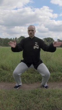 Çin sanatının doğadaki qigong sanatı - Dikey Ekran