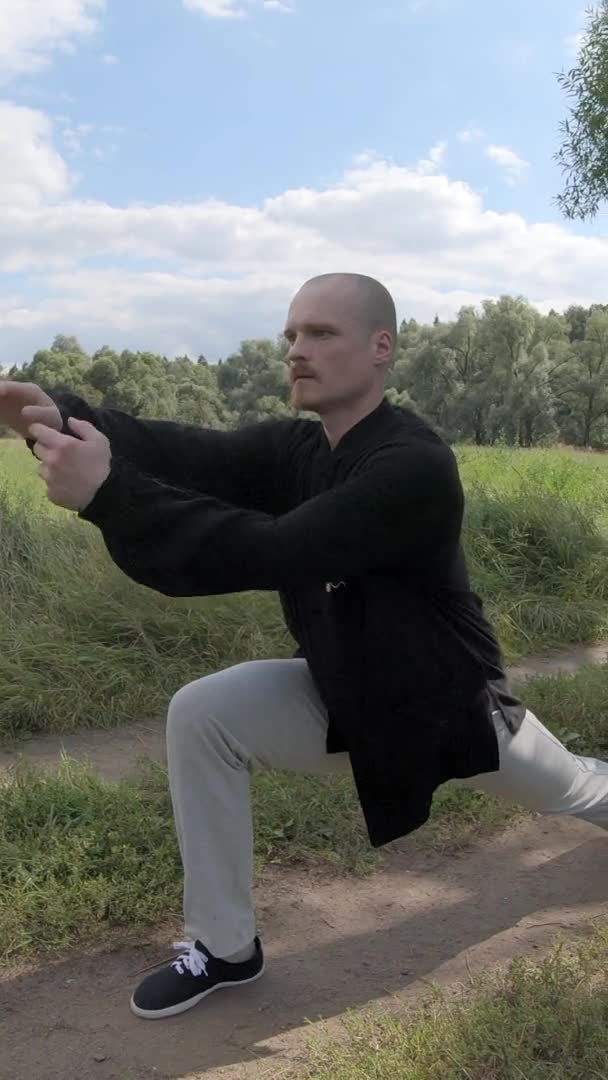 Practice Taijiquan and qigong in nature in shade of a tree - Vertical Screen — Stock video