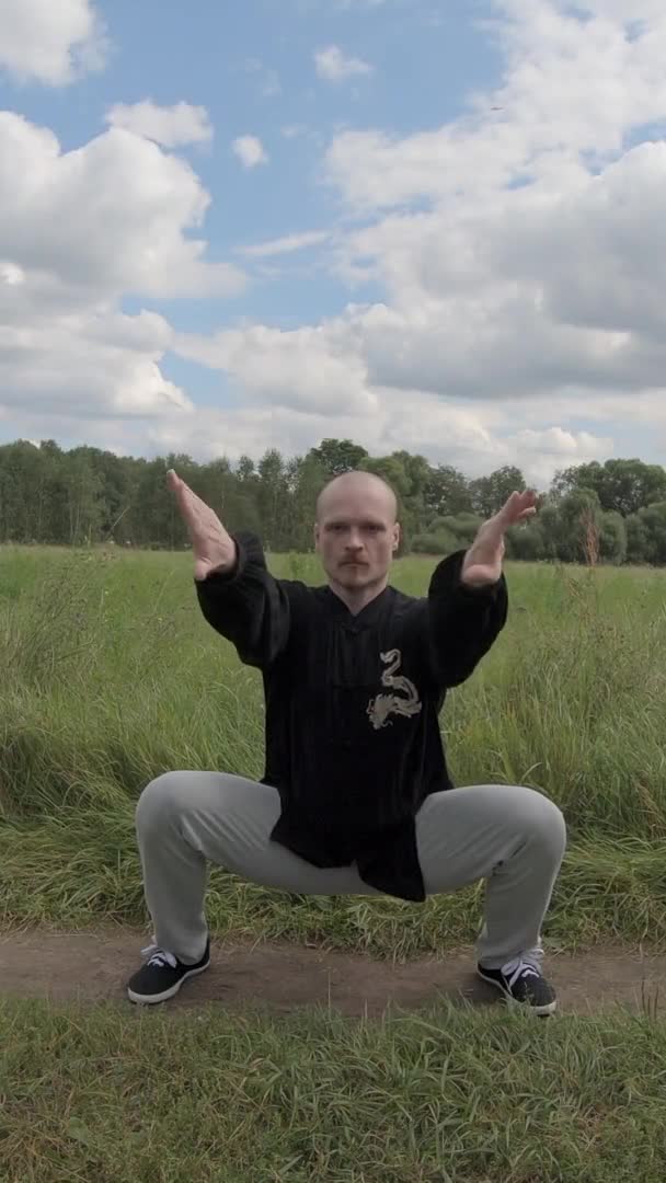 Qigong gymnastics in the morning in the park - Vertical Screen — Video