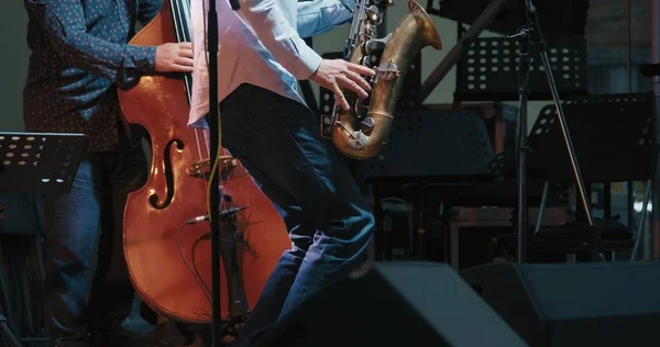 Hombres caucásicos en un concierto tocando jazz y blues en saxofón y contrabajo Fotos de stock