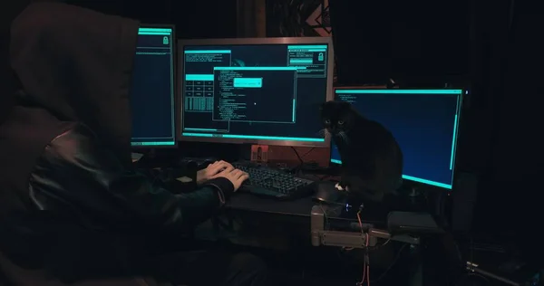 Hacker i en hætte sidder foran computerskærme og hacks databaser Stock-billede