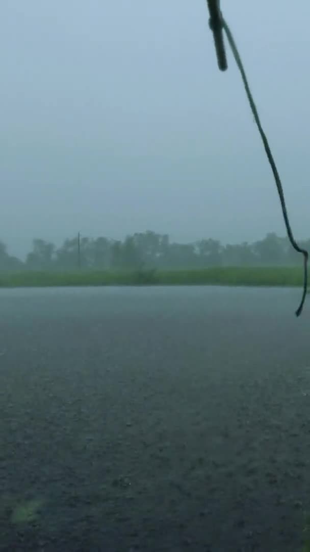 Prší, silný vítr žene vodu. Swin lana - vertikální záběry — Stock video