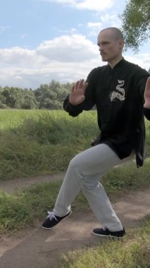 Kung fu ejder stili. Avrupalı adam dövüş sanatlarıyla ilgileniyor - Dikey video