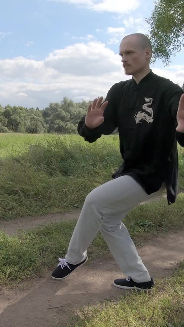 Style dragon de Kung fu. L'homme européen est engagé dans les arts martiaux - Vidéo verticale — Video