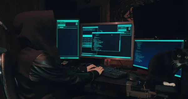 Hacker en una capucha se sienta frente a las pantallas de la computadora y hacks bases de datos —  Fotos de Stock