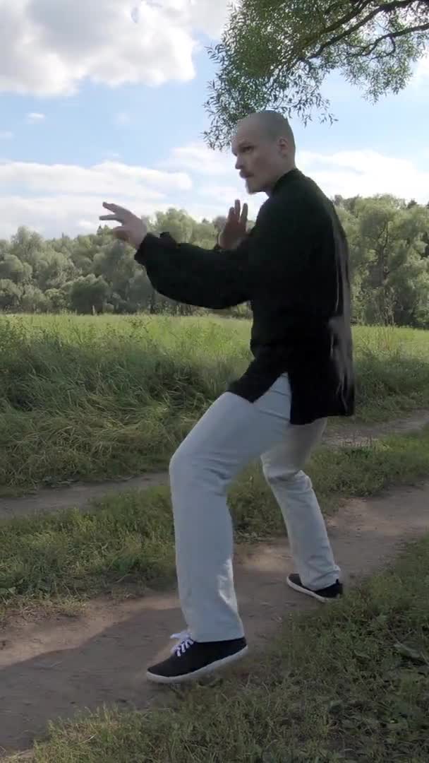 Hombre joven practica artes marciales en la naturaleza - Pantalla vertical — Vídeo de stock