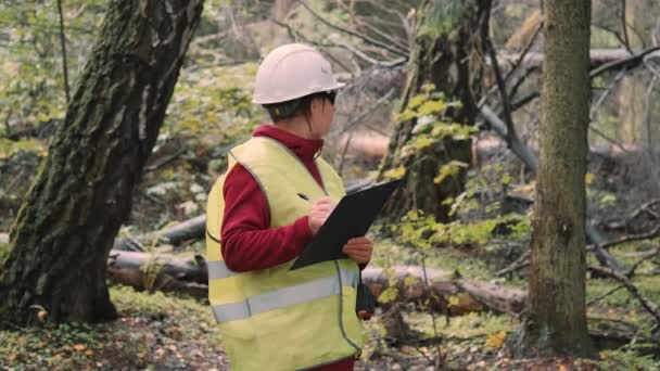 Wanita ekolog mendokumentasikan kerusakan hutan setelah badai, menebang pohon di sekitar — Stok Video