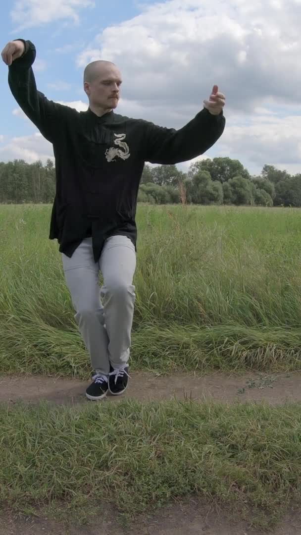 武术在自然界中，一个年轻男子进行晨练-垂直屏风 — 图库视频影像