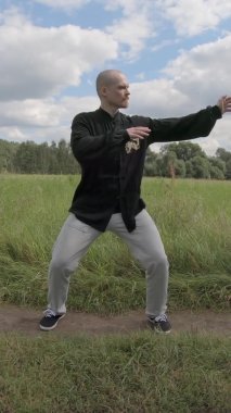 Doğadaki Wushu jimnastiği - Dikey Ekran