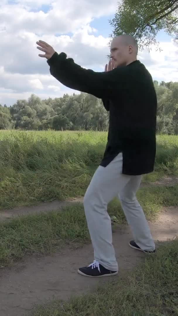 Meister bekämpft einen imaginären Feind im Schatten einer Weide - Vertikale Leinwand — Stockvideo
