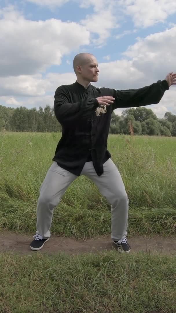 Ginástica Wushu no parque na natureza - Tela Vertical — Vídeo de Stock