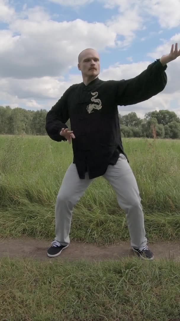 Usta Wushu hayati enerjiyi geri getirmek için egzersiz yapar - Dikey Ekran — Stok video