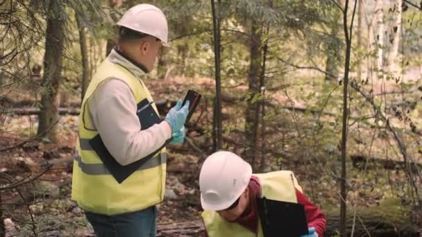 森のゴミを背景に男と女の生態学者が自撮り — ストック動画