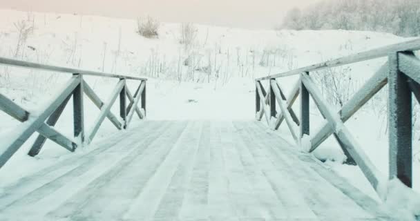 겨울에는 자연의 공원에 나무로 된 보행자 다리가 있습니다. 겨울 풍경 — 비디오