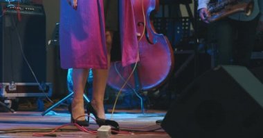 Müzik grubu konserde caz ve blues söyler. Kadın vokalist, akşam vakti.