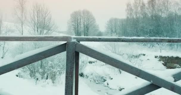 Inverno, ponte pedonale in legno in parco nella natura. Paesaggio invernale — Video Stock