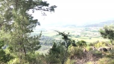 Dalaman Hillside 'ın muhteşem bir doğası var. 