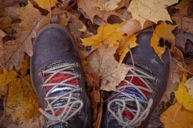 Düşen akçaağaç ve meşe yapraklarının arasında eski kahverengi çizmeler.
