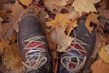 Düşen akçaağaç ve meşe yapraklarının arasında eski kahverengi çizmeler.