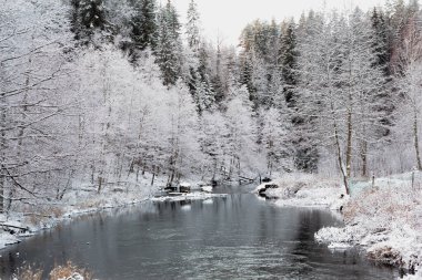 Nehir kıyısındaki karlı ormanda bir peri masalı.