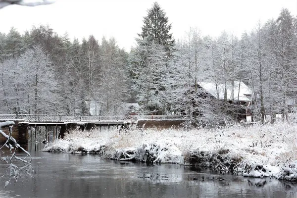 河岸雪地森林里的一个童话 — 图库照片