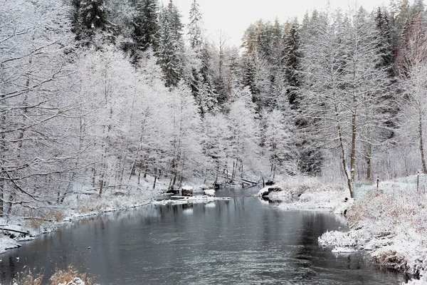 河岸雪地森林里的一个童话 图库照片