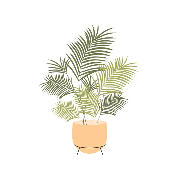 Isolated Vector Illustration Houseplant Areca Palm — Wektor stockowy