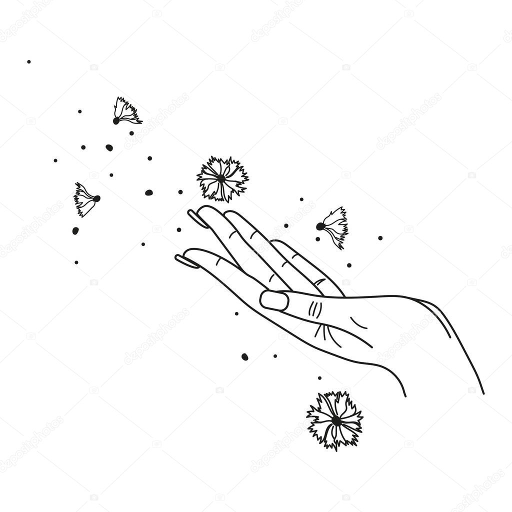 Line art female hand. Isolated vector illustration
