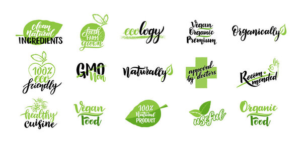 Vegan food emblem set decorated by green leaves. Organic, eco, natural product icon and element. Promotion package label for healthy life meal. Hand drawn leaf with place for text vector flat