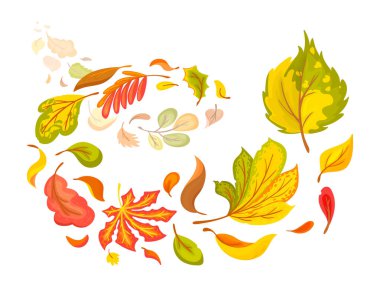 Uçan sonbahar renkli yapraklarının bileşimi. Renkli güzel sonbahar elementleri yapraklarını döküyor. Yapraklar düşer, sonbahar zaman vektör çiziminde girdap oluşturur..