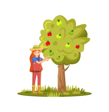 Çiftçiler ve tarımsal iş karakterleri. Kız bahçede elma topluyor. Tarlalarda çalışan, hasat toplayan, sepetteki olgun organik elmaları toplayan bir kadın. Tarım bahçıvanı. Vektör illüstrasyonu.