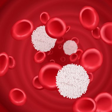 Kan dolaşımındaki kan hücreleri. Kırmızı hemoglobin ve beyaz kan hücreleri kan plazma vektör ilüstrasyonunda lenfositler