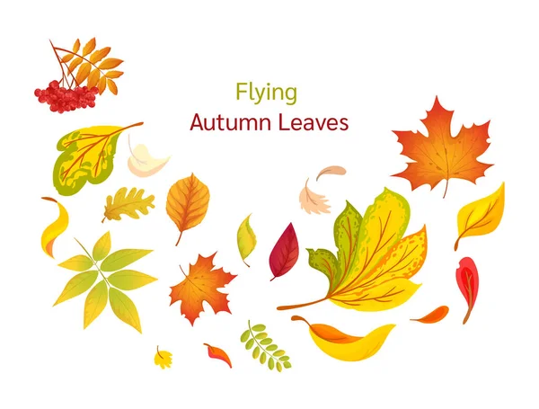Composition Flying Autumn Colorful Leaves Colored Isolated Beautiful Autumn Elements — Stock Vector