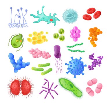 Mikroorganizma, bakteri, virüs hücresi, bakteri, hastalık bakterisi ve mantar hücreleri. Bulaşıcı mikroplar, protistler, mikroplar, koronavirüs. Bakterilere, virüslere ve karikatür çizimlerine neden olan bir sürü hastalık.