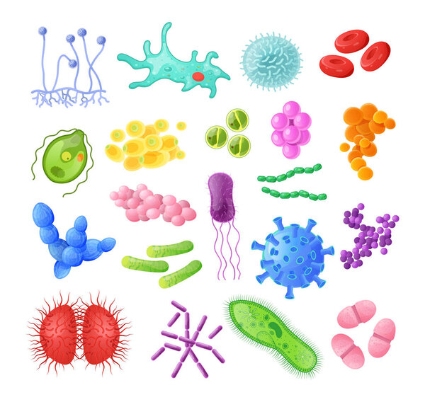 Microorganism, bacteria, virus cell, bacillus, disease bacterium and fungi cells. Infectious germs, protists, microbes, coronavirus. Bundle of disease causing bacteria, viruses cartoon illustration