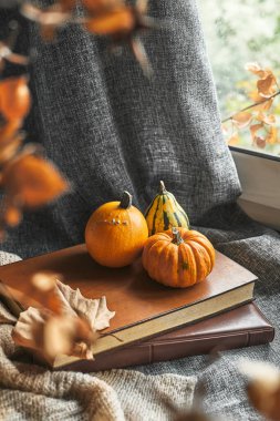 Balkabaklarıyla rahat bir sonbahar, yün süveterler, pencere eşiğinde kitaplar ve mumlar. Sonbahar evi dekorasyonu. Samimi düşüş havası. Şükran Günü. Cadılar Bayramı.