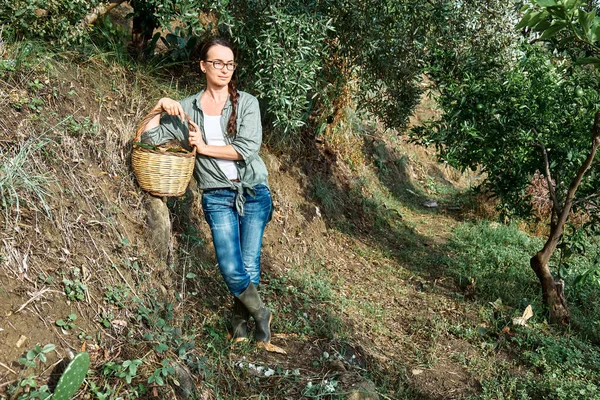 Woman in rubber boots holds a basket with ripe persimmons near olive tree in her garden. Working in the garden as a hobby in the new normal. Harvest. Fall. Sinergic garden.