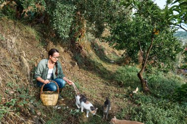 Bahçesindeki zeytin ağacının yanında bir sepet dolusu olgun hurma taşıyan lastik çizmeli bir kadın kedileriyle oynuyor. Bahçede çalışmak yeni normalin hobisi. Hasat et. Düş! Sinerjik bahçe.