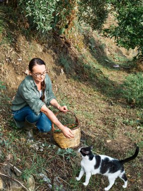 Bahçesindeki zeytin ağacının yanında bir sepet dolusu olgun hurma taşıyan lastik çizmeli bir kadın kedileriyle oynuyor. Bahçede çalışmak yeni normalin hobisi. Hasat et. Düş! Sinerjik bahçe.
