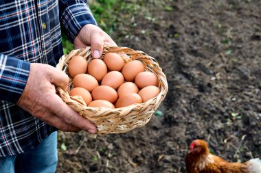 Elinde bir sepet dolusu yumurta tutan bir adam var.