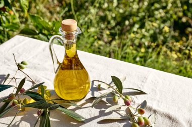 Ekstra bakire zeytinyağı ve zeytin dalı masanın üstünde, zeytinlikte keten masa örtüsü. Sağlıklı Akdeniz yemekleri.