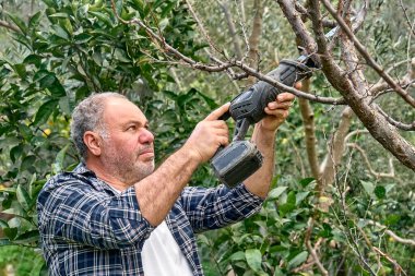 Mevsimlik ağaç budama. Yetişkin sakallı bahçıvan meyve bahçesinde karşılıklı testereyle ağaçları buduyor. Bahçeyle ilgileniyorum. Ağaç dalını kesiyorum. Bahar bahçıvanlığı.
