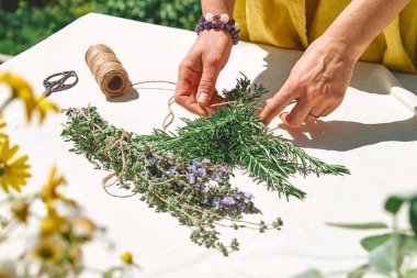 Alternative medicine. Woman holding in her hands a bunch of rosemary. Herbalist woman preparing fresh scented organic herbs for natural herbal methods of treatment. Collection and drying of herbs.