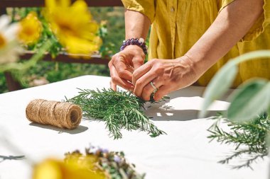 Alternatif tıp. Bitki toplama ve kurutma. Elinde biberiye tutan bir kadın. Bitki bilimci kadın taze kokulu organik otları doğal bitkisel tedavi yöntemleri için hazırlıyor.