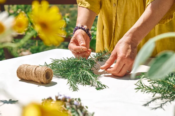 Alternative medicine. Collection and drying of herbs. Woman holding in her hands a bunch of rosemary. Herbalist woman preparing fresh scented organic herbs for natural herbal methods of treatment.