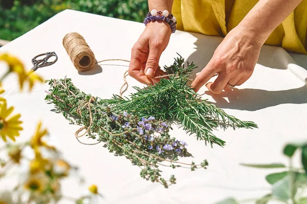 Alternatif tıp. Elinde biberiye tutan bir kadın. Bitki bilimci kadın doğal bitkisel tedavi yöntemleri için taze kokulu organik bitkiler hazırlıyor. Bitki toplama ve kurutma.