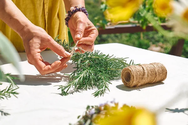 Alternatif tıp. Bitki toplama ve kurutma. Elinde biberiye tutan bir kadın. Bitki bilimci kadın taze kokulu organik otları doğal bitkisel tedavi yöntemleri için hazırlıyor.