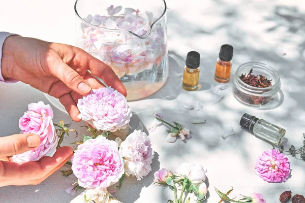 Mujer Preparando Rosas Agua Con Pétalos Rosa Rosa Cuenco Cristal —  Fotos de Stock